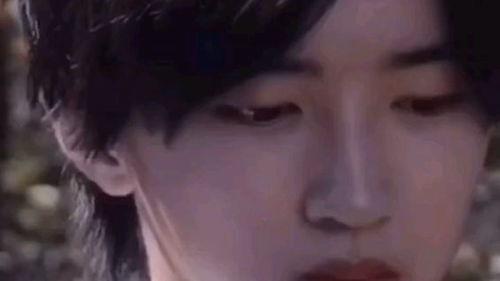 道枝骏佑喜欢的明星,揭秘他心中的明星偶像